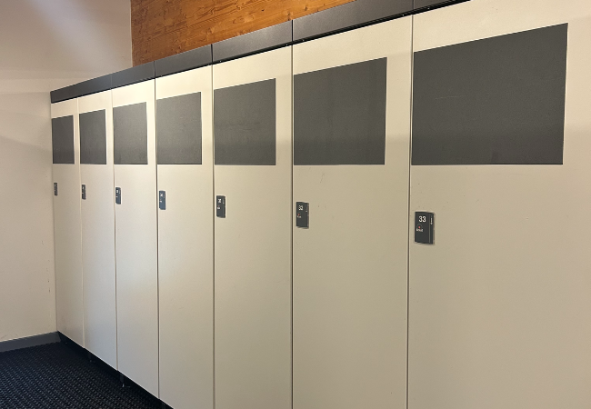 casier à ski allemond